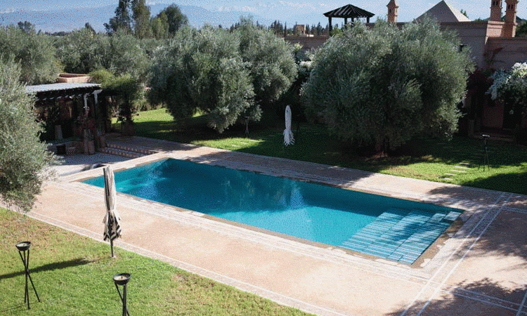 Morocco: And A Fall Tale Of Color And Moroccan Rugs