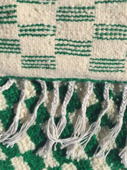 Load image into Gallery viewer, Moroccan Rug - Berber Rug - Modern Rug - Colorful Area Rug - Chic Rug - Home Art living room Rug - Flatweave Rug - Fluffy Azilal Rug - - AUALIRUG
