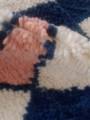 Load image into Gallery viewer, Hand Braided rug -  Exclusive beni Ourain Rug- Chic Rug- Colorful rug - USA Rug New York Rug - Rug in Australia - Handmade Rug - Floor Rug - AUALIRUG
